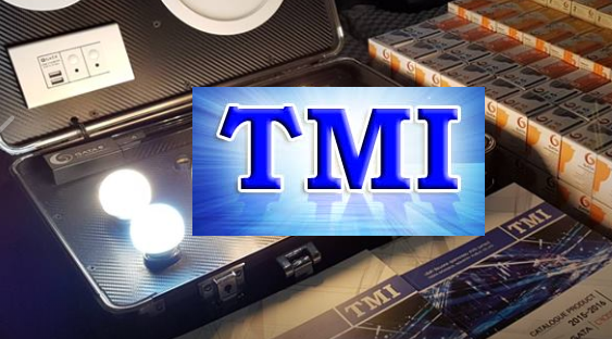 TMI ลุย โซลาร์ฟาร์มในยุโรป กำลังผลิต 130 MW ลงทุน 4-5 พันลบ.